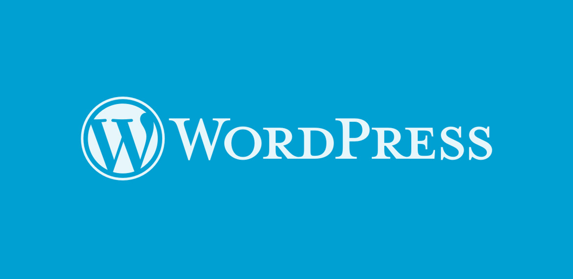 WordPress WebSites